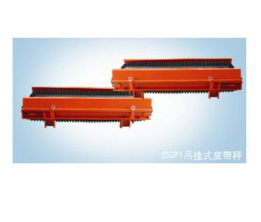 圖片名稱：DGP吊掛式皮帶秤
點擊次數(shù)：2767次